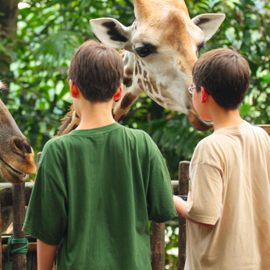 Ayubowan Nature Holiday