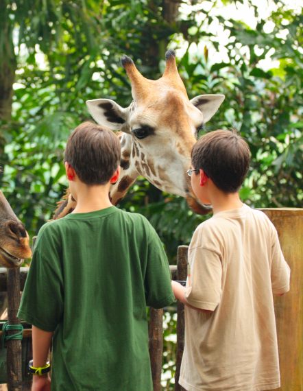 Ayubowan Nature Holiday
