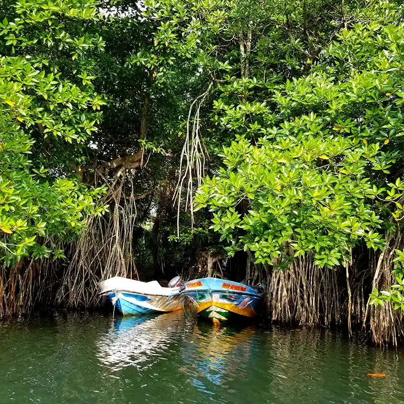 Ayubowan Nature Holiday