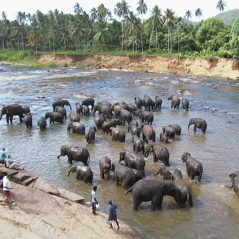 Ayubowan Nature Holiday